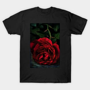 Rose 385 T-Shirt